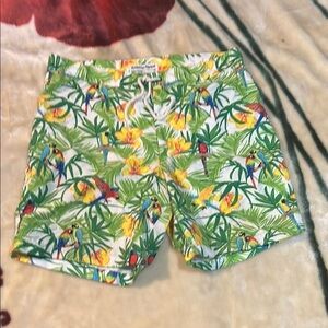 Tropical Parrot Print Shorts